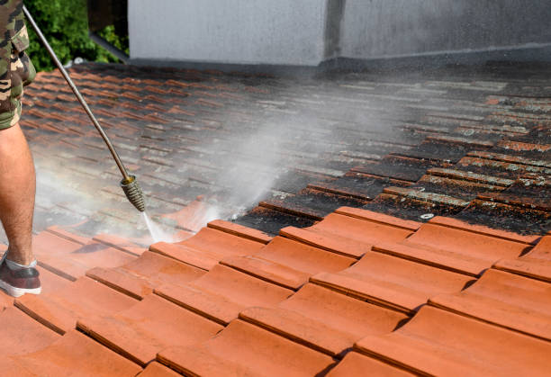 Best Affordable Pressure Washing  in Cartervle, IL