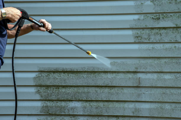 Best Pressure Washing Patio  in Cartervle, IL