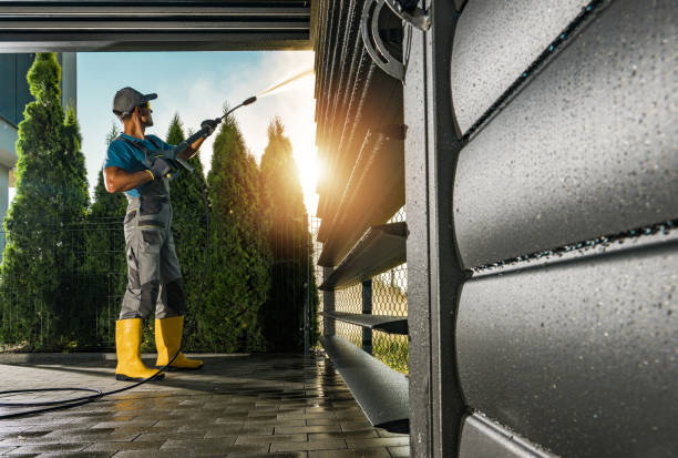Best Commercial Building Pressure Washing  in Cartervle, IL