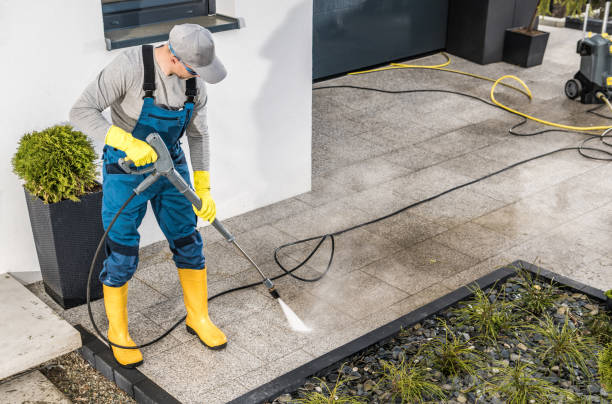 Best Fence Pressure Washing  in Cartervle, IL