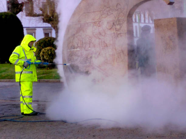 Best Pressure Washing Cost  in Cartervle, IL