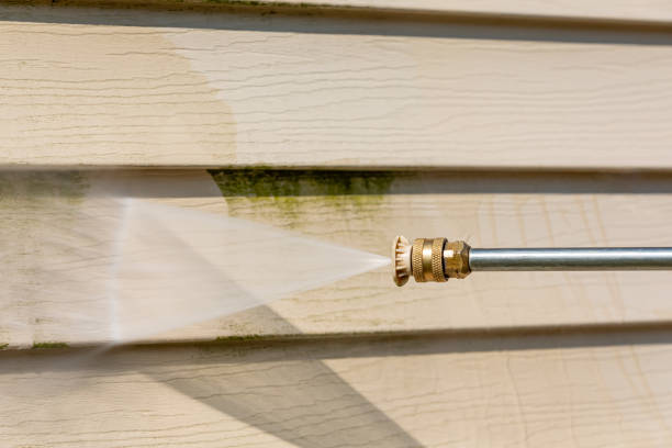 Roof Power Washing Services in Carterville, IL