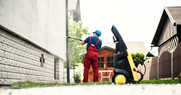 Best Deck Cleaning Services  in Cartervle, IL